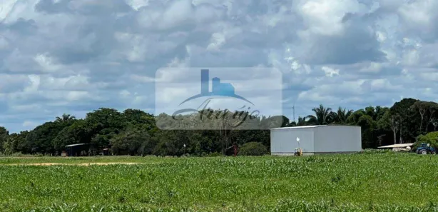 Fazenda / Sítio / Chácara com 6 Quartos à venda, 834m² no , Lagoa da Confusão