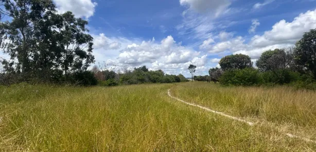 Fazenda / Sítio / Chácara à venda, 140000m² no , Chã Grande