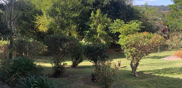 Fazenda / Sítio / Chácara com 6 Quartos à venda, 26000m² no Capela de São Pedro, Vargem Grande Paulista