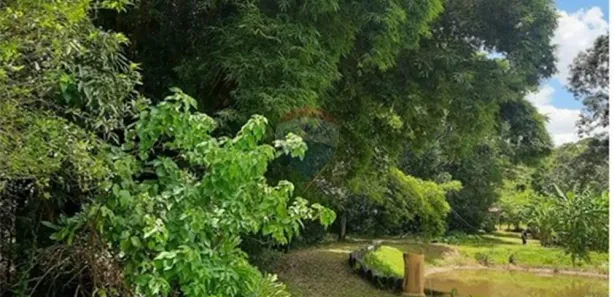 Fazenda / Sítio / Chácara com 4 Quartos à venda, 40000m² no Parque da Barragem Setor 08, Águas Lindas de Goiás
