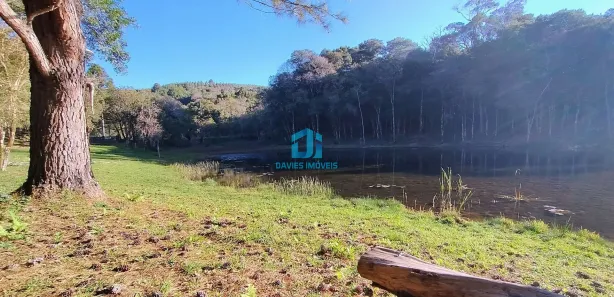 Fazenda / Sítio / Chácara à venda, 20000m² no Três Córregos, Campo Largo