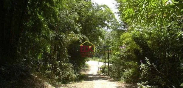 Fazenda / Sítio / Chácara com 3 Quartos à venda, 300m² no Chácara Marambaia, Caçapava