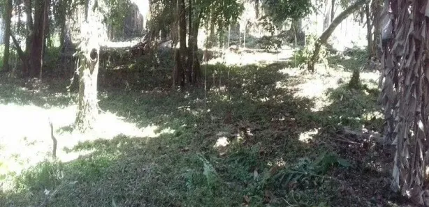 Terreno / Lote / Condomínio à venda, 990m² no Rocio Pequeno, São Francisco do Sul