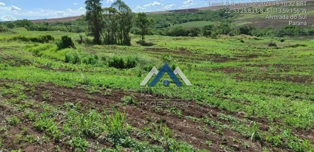 Fazenda / Sítio / Chácara com 2 Quartos à venda, 151m² no Rural, Alvorada do Sul