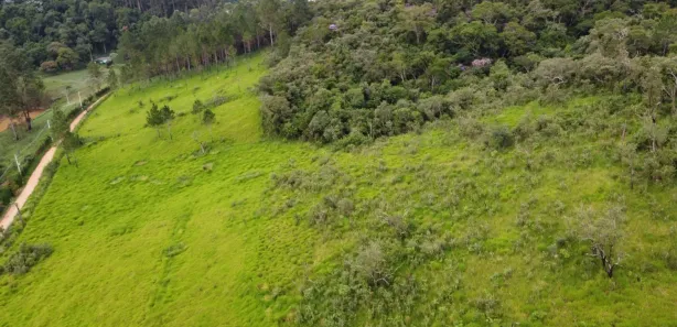 Fazenda / Sítio / Chácara à venda, 1000m² no Saboó, São Roque
