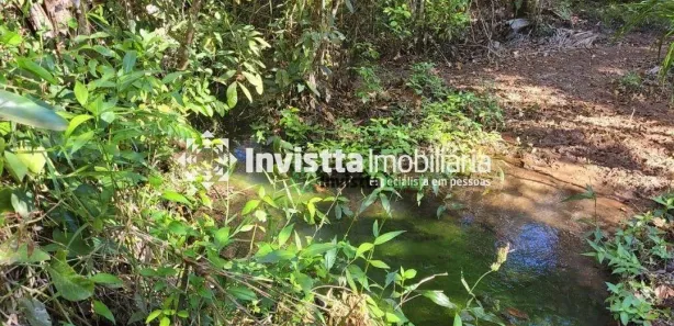 Fazenda / Sítio / Chácara à venda, 24980m² no , Pedro Afonso