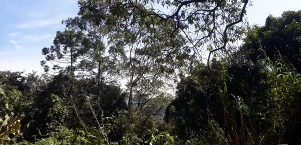 Terreno / Lote / Condomínio à venda, 33m² no Roseira, Mairiporã