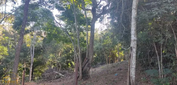 Terreno / Lote / Condomínio à venda, 486m² no Barão de Javary, Miguel Pereira