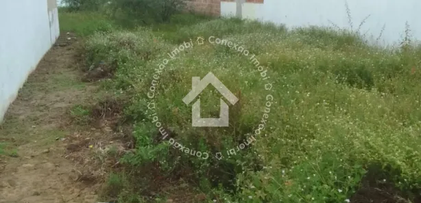 Terreno / Lote / Condomínio à venda, 140m² no , Tobias Barreto