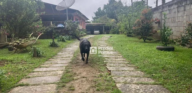Fazenda / Sítio / Chácara com 3 Quartos à venda, 15000m² no Rui Sanglard, Nova Friburgo