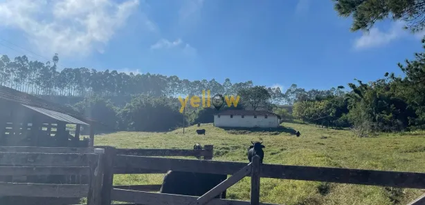 Fazenda / Sítio / Chácara com 10 Quartos à venda, 3146000m² no Boa Vista, Igaratá
