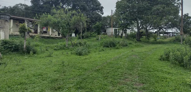 Terreno / Lote Comercial à venda, 20000m² no Zona Rural, Fortuna de Minas