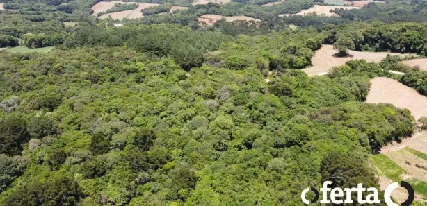 Fazenda / Sítio / Chácara à venda, 23475m² no Porto das Laranjeiras, Araucária