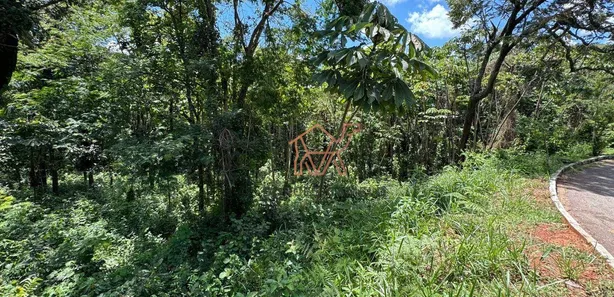 Terreno / Lote / Condomínio à venda, 1353m² no Mirante da Mata, Nova Lima