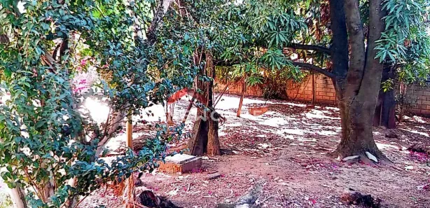 Casa com 4 Quartos à venda, 140m² no Felipe Cláudio de Sales, Pedro Leopoldo