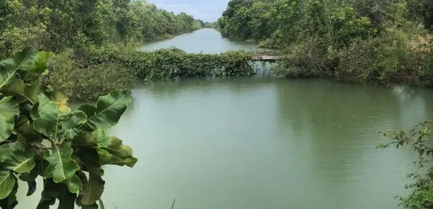 Fazenda / Sítio / Chácara com 5 Quartos à venda, 1326m² no , Formoso do Araguaia