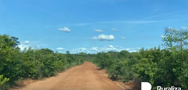 Fazenda / Sítio / Chácara à venda, 842m² no , Rio Sono
