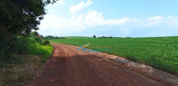 Fazenda / Sítio / Chácara à venda, 13000m² no , Corbélia