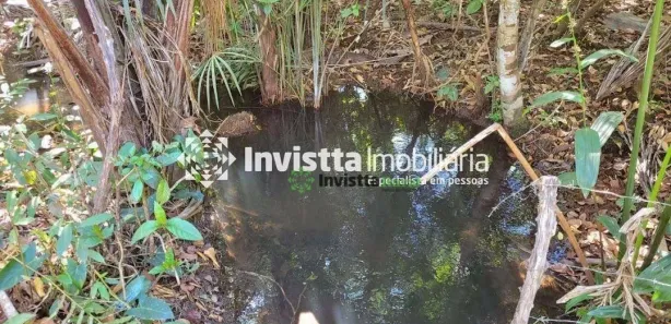 Fazenda / Sítio / Chácara à venda, 24980m² no , Pedro Afonso