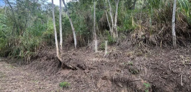 Terreno / Lote / Condomínio à venda, 772m² no Pedro do Rio, Petrópolis