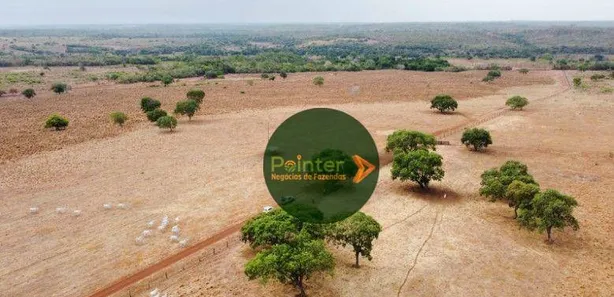Fazenda / Sítio / Chácara à venda, 19166400m² no , Lagoa da Confusão