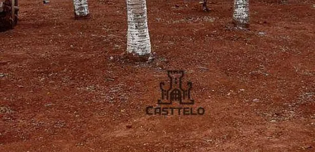 Fazenda / Sítio / Chácara com 2 Quartos à venda, 100m² no Assaí, Assaí