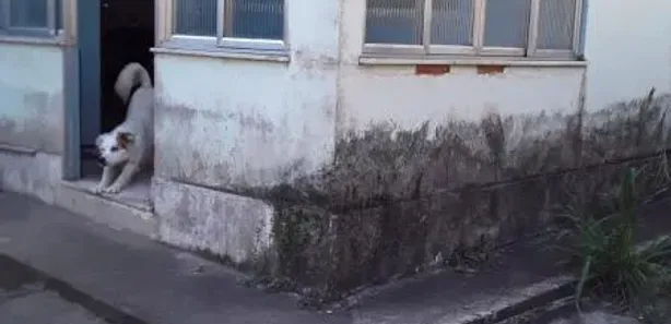 Casa com 2 Quartos à venda, 65m² no Independência, Petrópolis