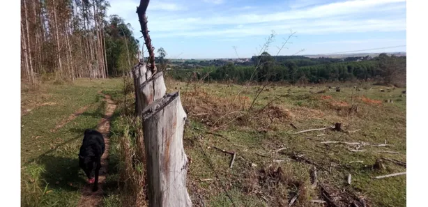 Fazenda / Sítio / Chácara com 1 Quarto à venda, 47m² no Vila Cesari Purgato, Mombuca