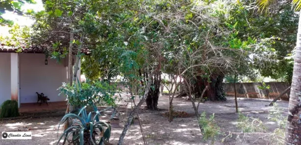 Fazenda / Sítio / Chácara com 4 Quartos à venda, 180m² no Barra do Jacuípe, Camaçari