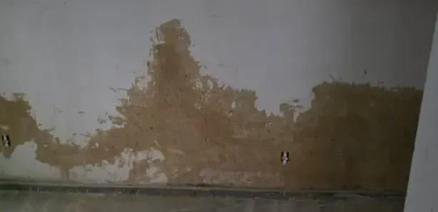 Casa com 2 Quartos à venda, 80m² no Tinguá, Nova Iguaçu