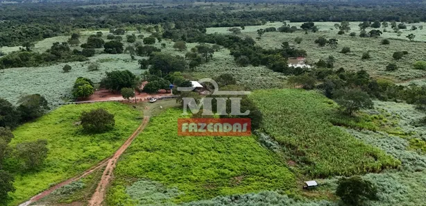 Fazenda / Sítio / Chácara com 2 Quartos à venda, 500m² no Setor Central, Gurupi
