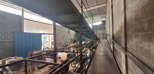 Galpão / Depósito / Armazém para alugar, 477m² no Cidade Jardim, Araraquara