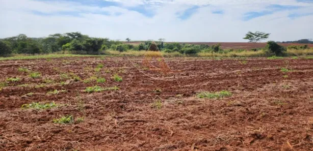 Fazenda / Sítio / Chácara com 1 Quarto à venda, 1452000m² no Jardim Quitandinha, Araraquara