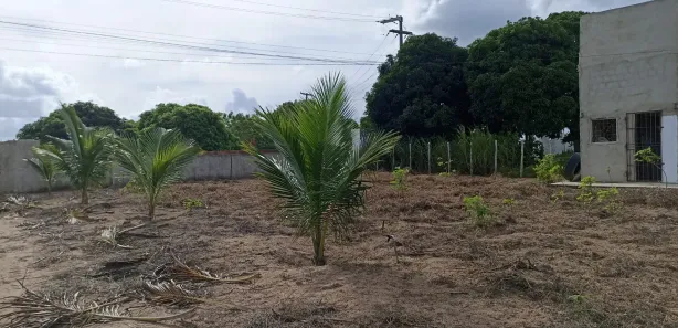 Fazenda / Sítio / Chácara à venda, 65000m² no Centro, Pilar