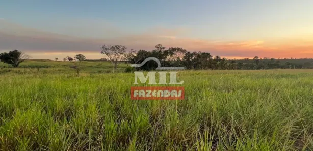 Fazenda / Sítio / Chácara à venda, 500m² no Setor Central, Ponte Alta do Tocantins