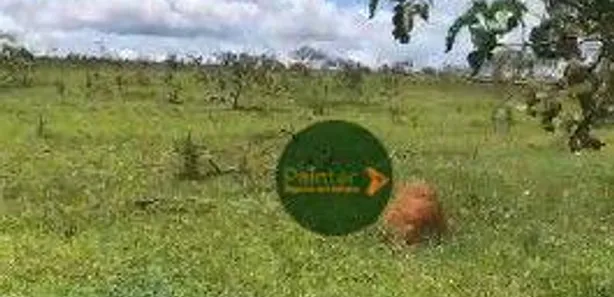 Fazenda / Sítio / Chácara à venda, 360000m² no Chácaras Quedas do Descoberto, Águas Lindas de Goiás