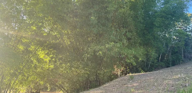 Terreno / Lote / Condomínio à venda, 435m² no Catu de Abrantes (Abrantes), Camaçari