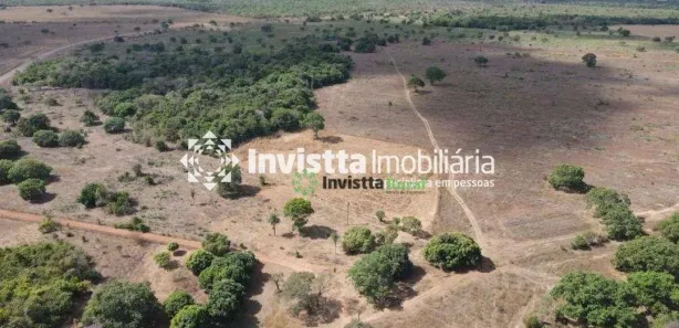 Fazenda / Sítio / Chácara à venda, 600m² no Centro, Lagoa da Confusão