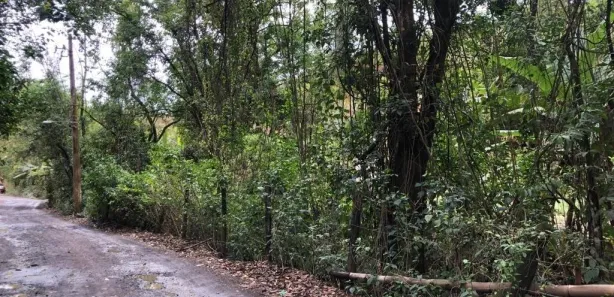 Terreno / Lote / Condomínio à venda, 17438m² no Colônia Santo Antônio, Barra Mansa