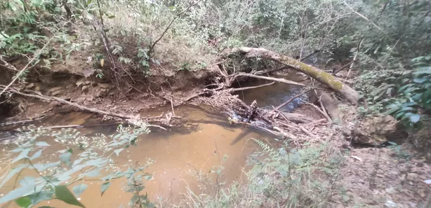 Fazenda / Sítio / Chácara com 4 Quartos à venda, 20000m² no , Brasília