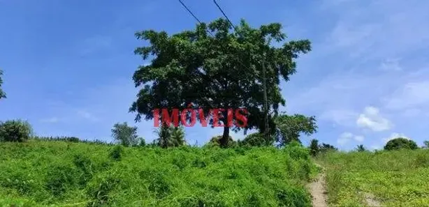 Fazenda / Sítio / Chácara com 2 Quartos à venda, 4m² no Gurugi, Conde