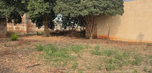 Loja / Salão / Ponto Comercial com 3 Quartos à venda, 269m² no Centro, Sertãozinho