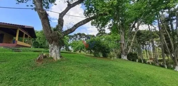 Fazenda / Sítio / Chácara com 6 Quartos à venda, 144000m² no Jardim Pinheiros, Quatro Barras