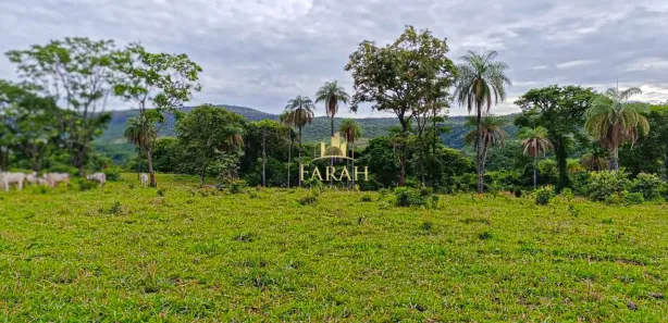 Fazenda / Sítio / Chácara com 2 Quartos à venda, 3388000m² no Área Rural de Formosa, Formosa