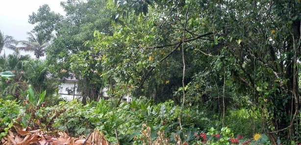 Terreno / Lote / Condomínio à venda, 2340m² no Camburi, São Sebastião