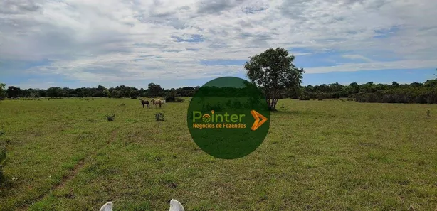 Fazenda / Sítio / Chácara à venda, 13552000m² no , Formoso do Araguaia