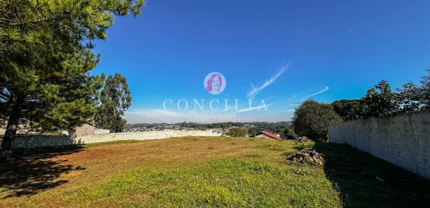 Fazenda / Sítio / Chácara à venda, 3300m² no Jardim Boa Vista, Campo Largo