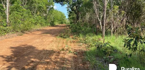 Fazenda / Sítio / Chácara à venda, 842m² no , Rio Sono