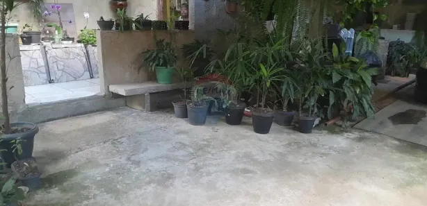 Fazenda / Sítio / Chácara com 2 Quartos à venda, 264m² no Banquete, Bom Jardim