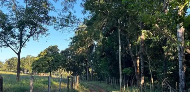 Fazenda / Sítio / Chácara à venda, 1000m² no , Alumínio